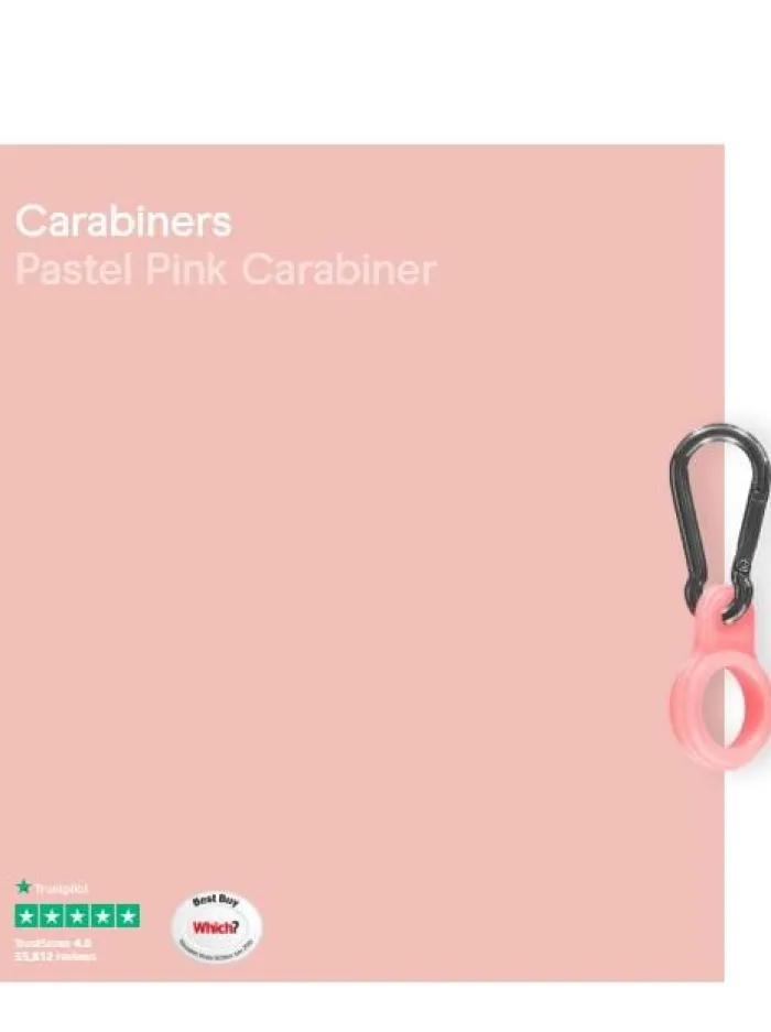 chillys_s_water_bottle_ca_0.webp Chilly's Water Bottles Water Bottles^Chilly's S Water Bottle Carabiner Pastel Pink CBCARPAPNK