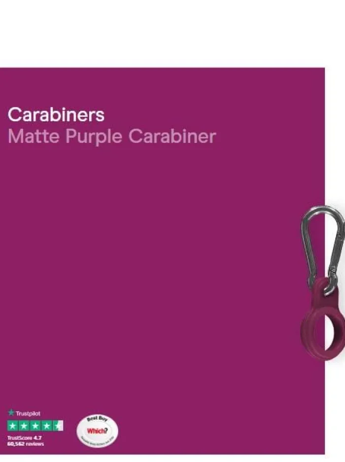 chillys_water_ss_bottle_c_0.webp Chilly's Water Bottles Gifts Under £50 | Water Bottles^Chilly's Water SS Bottle Carabiner Matt Purple CBCARMAPPL